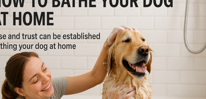 dog bathing at home