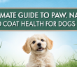 Coat Health