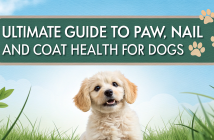 Coat Health