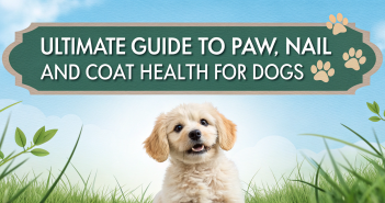 Ultimate Guide to Paw, Nail, and Coat Health for Dogs